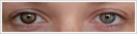 FreshLook ColorBlends / Chestnut brown -