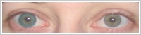 FreshLook ColorBlends / Turquoise -