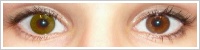 Acuvue 2 Colours - krycí / Zelená -