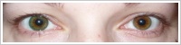 FreshLook Dimensions / Sea green -