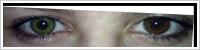 FreshLook ColorBlends / Gemstone green -