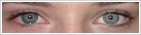 FreshLook ColorBlends / Turquoise -