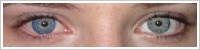 FreshLook ColorBlends / True sapphire -