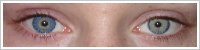 FreshLook ColorBlends / True sapphire -