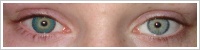 FreshLook ColorBlends / Turquoise -