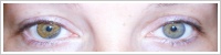 Acuvue 2 Colours - krycí / Medová -