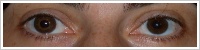 FreshKon Colors Fusion / Perky brown -