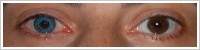 FreshLook ColorBlends / Briliant blue -