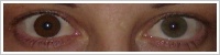 FreshLook ColorBlends / Chestnut brown -