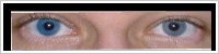 Acuvue 2 Colours - tónovací / Modrá -