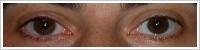 Acuvue 2 Colours - krycí / Oříšková -