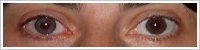 FreshLook ColorBlends / Amethyst -