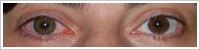 FreshLook ColorBlends / Green -