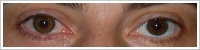 FreshLook ColorBlends / Pure hazel -