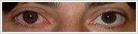FreshLook ColorBlends / Chestnut brown -