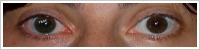 Acuvue 2 Colours - tónovací / Zelená -