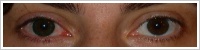 FreshLook Dimensions / Sea green -