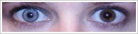 SofLens Natural Colors / Platinum -