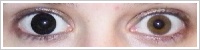 ColourVUE Big Eyes / Dolly black -