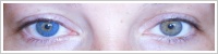 Acuvue 2 Colours - krycí / Modrá -