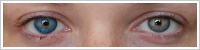 FreshLook ColorBlends / Briliant blue -