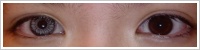 SofLens Natural Colors / Platinum -