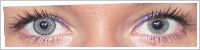 SofLens Natural Colors / Platinum -