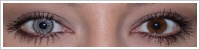 SofLens Natural Colors / Platinum -