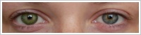 FreshLook ColorBlends / Gemstone green -