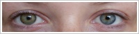 FreshLook ColorBlends / Pure hazel -