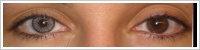 SofLens Natural Colors / Platinum -