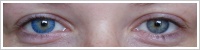 FreshLook ColorBlends / True sapphire -
