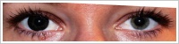 ColourVUE Big Eyes / Dolly black -