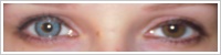 Acuvue 2 Colours - krycí / Modrá -