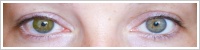 Acuvue 2 Colours - krycí / Zelená -