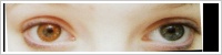 FreshLook ColorBlends / Honey -