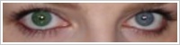 Acuvue 2 Colours - krycí / Zelená -