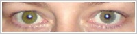 FreshLook ColorBlends / Gemstone green -