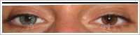 SofLens Natural Colors / Jade -