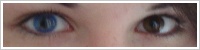 Acuvue 2 Colours - krycí / Modrá -