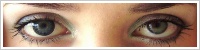 ColourVUE Glamour / Blue -