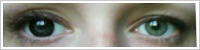 ColourVUE Big Eyes / Dolly black -