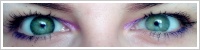 Acuvue 2 Colours - krycí / Zelená -