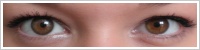 FreshLook Radiance / Moonlight -