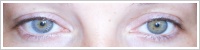 Acuvue 2 Colours - krycí / Šedá -