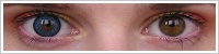 ColourVUE Big Eyes / Cool blue -