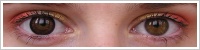 ColourVUE Big Eyes / Pretty hazel -