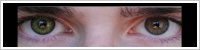 FreshLook ColorBlends / Gemstone green -