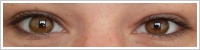 FreshLook ColorBlends / Pure hazel -