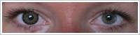 ColourVUE Big Eyes / Sexy brown -